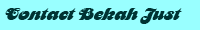 contact Bekah Just
